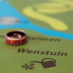 20240912 Marieke Bloem website -3302