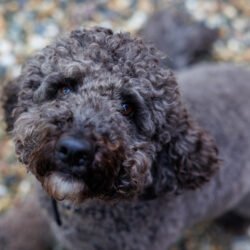 20240912 Marieke Bloem website -3524