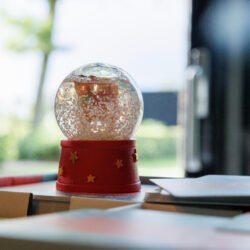 20240912 Marieke Bloem website -4125